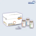 تصویر کیت بازیابی اسید نوکلئیک از واکنشهای آنزیمی (PCR) دنازیست با نام تجاری جدید DENAzist PCR-Max-Clean Kit برای خالصسازی سریع و ساده اسیدهای نوکلئیک از محلولهای آنزیمی و نمکی