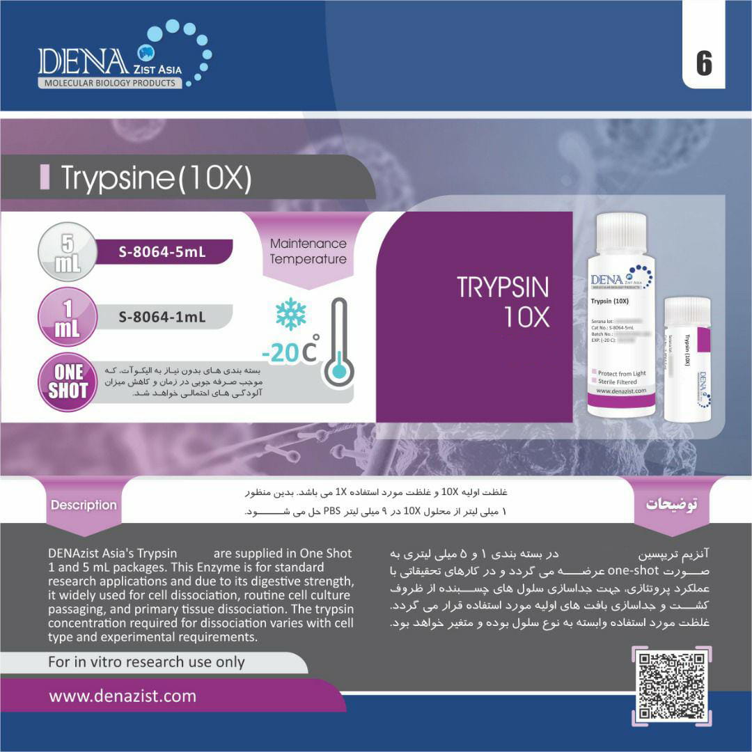 آنزیم تریپسین Trypsin Enzyme