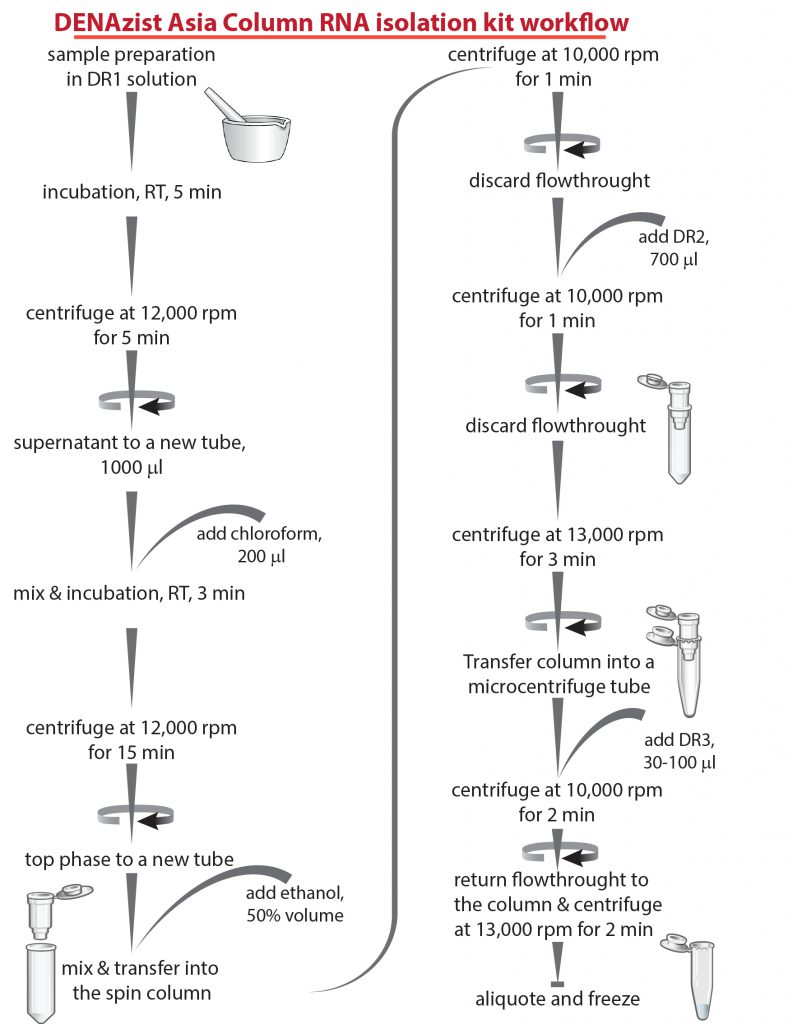 پروتکل تصویری کیت استخراج RNA ستونی دنازیست. در این تصویر مراحل انجام استخراج RNA بصورت شماتیک نشان داده شده است.
