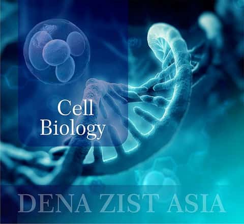 دسته‌ی انواع مواد و محلول‌های مورد نیاز بیولوژی سلولی دنازیست آسیا