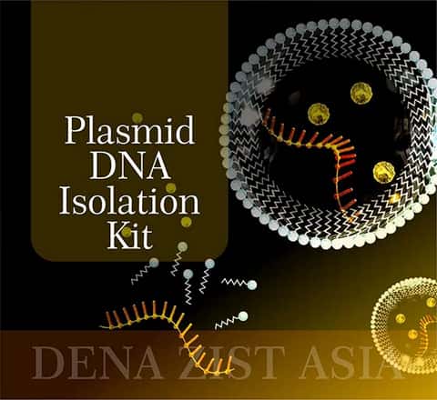 دسته‌ی همه انواع کیت‌های استخراج پلاسمید (پلازمید plasmid) شرکت دنازیست آسیا