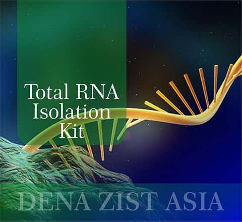 دسته‌ی همه انواع کیت‌های استخراج RNA شرکت دنازیست آسیا