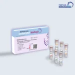 تصویر کیت سنتز cDNA با پرایمر oligo-dT دنازیست