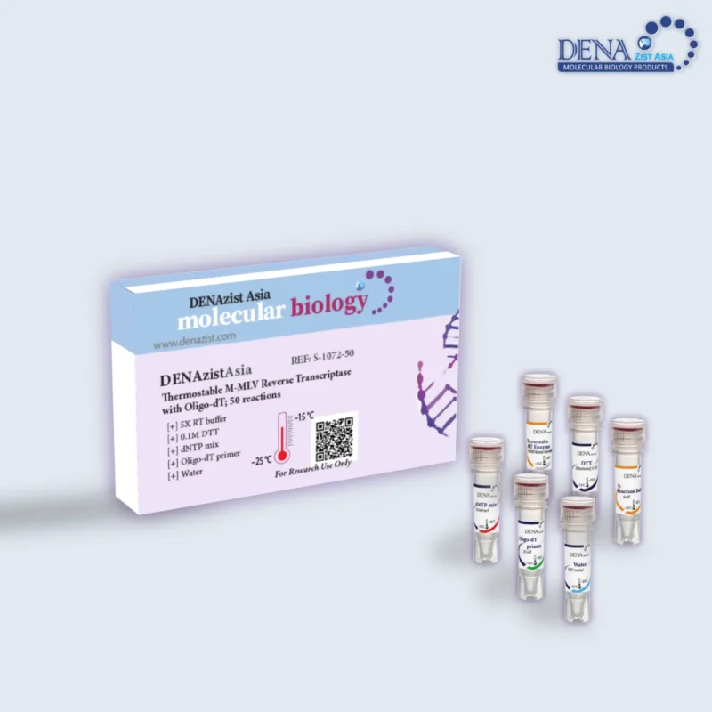 تصویر کیت سنتز cDNA با پرایمر oligo-dT دنازیست