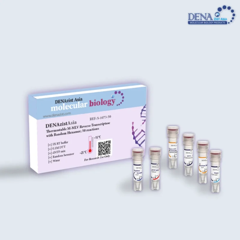 تصویر کیت سنتز cDNA با پرایمر رندم هگزامر دنازیست