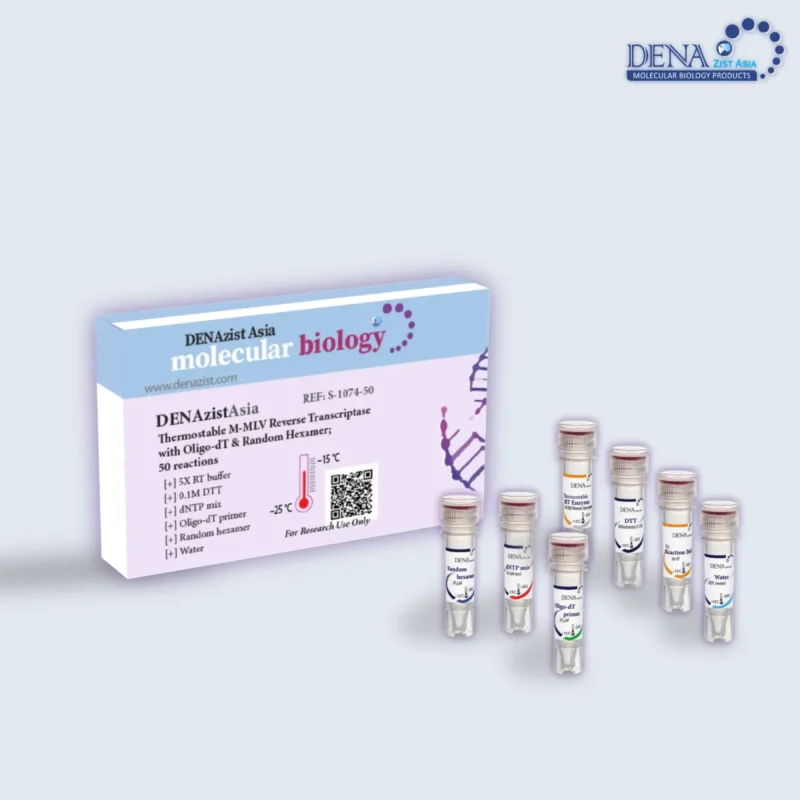 تصویر کیت سنتز cDNA با پرایمرهای oligo-dT و Random Hexamer
