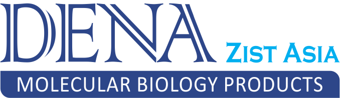 محافظت‌کننده RNA یا RNA Shield