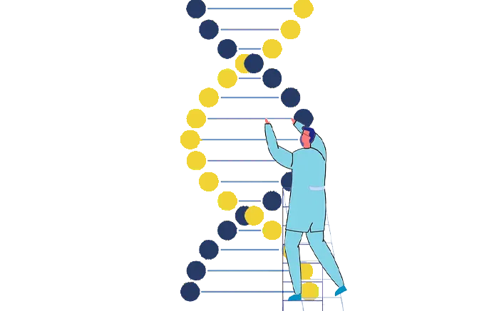 انواع DNA Ladder دنازیست